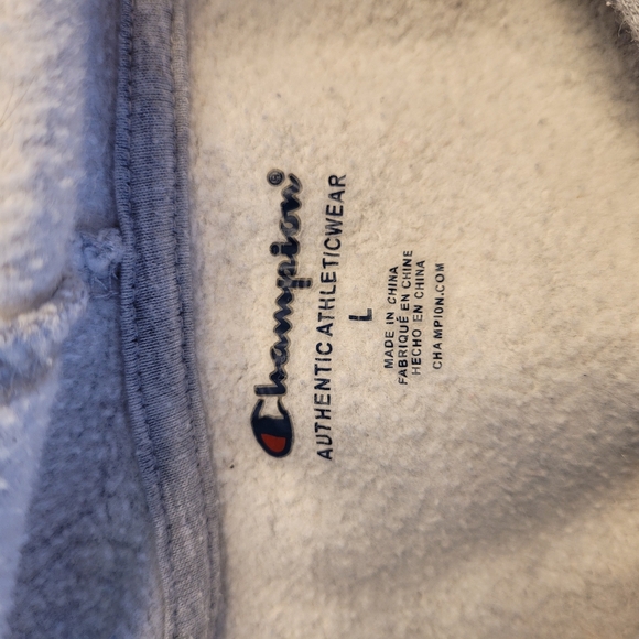 🍁CHAMPION Hoodie Pullover Sweatshirt Boys Large Gray - Picture 3 of 8